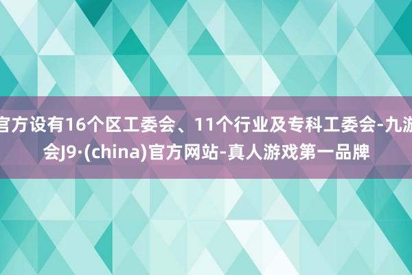 官方设有16个区工委会、11个行业及专科工委会-九游会J9·(china)官方网站-真人游戏第一品牌
