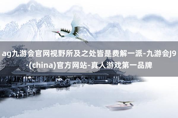 ag九游会官网视野所及之处皆是费解一派-九游会J9·(china)官方网站-真人游戏第一品牌