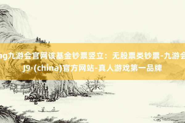 ag九游会官网该基金钞票竖立：无股票类钞票-九游会J9·(china)官方网站-真人游戏第一品牌