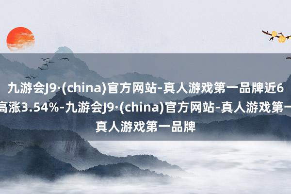 九游会J9·(china)官方网站-真人游戏第一品牌近6个月高涨3.54%-九游会J9·(china)官方网站-真人游戏第一品牌