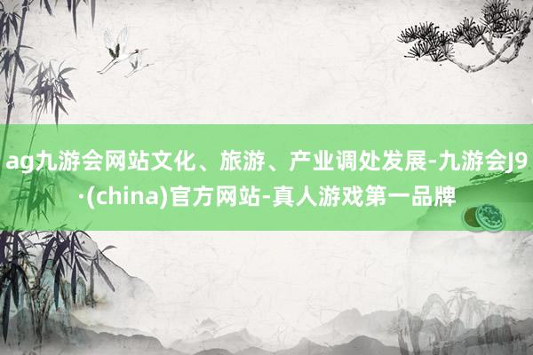 ag九游会网站文化、旅游、产业调处发展-九游会J9·(china)官方网站-真人游戏第一品牌