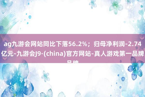 ag九游会网站同比下落56.2%；归母净利润-2.74亿元-九游会J9·(china)官方网站-真人游戏第一品牌