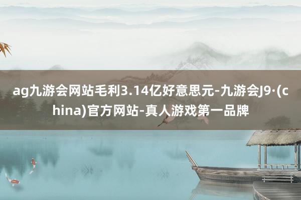 ag九游会网站毛利3.14亿好意思元-九游会J9·(china)官方网站-真人游戏第一品牌